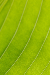 Similar image 2938880