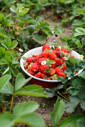 Similar image 2938882