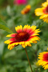 Similar image 2938888