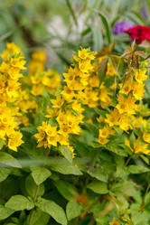 Similar image 2938889