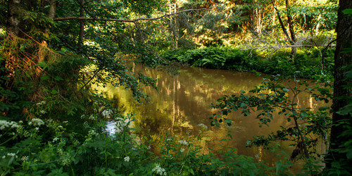 Similar image 2938890