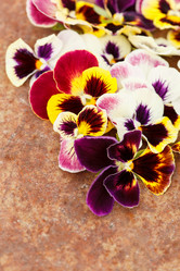 Similar image 2938895