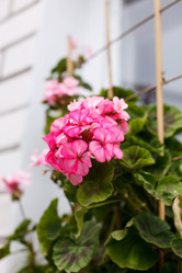 Similar image 2938896