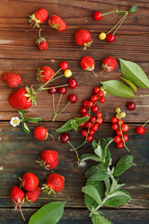 Similar image 2938900