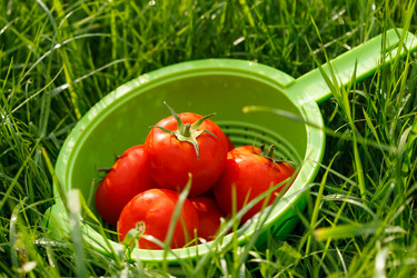 Similar image 2938902