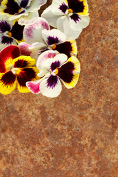 Similar image 2938903