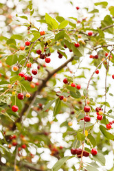 Similar image 2938911