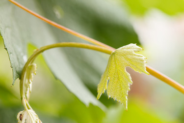 Similar image 2938912