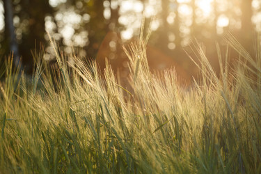 Similar image 2938945