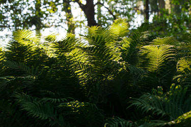 Similar image 2938946