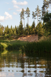 Similar image 2938947