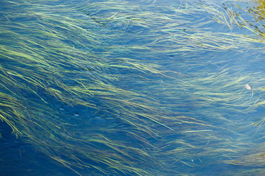 Similar image 2938950