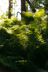 Similar image 2938954