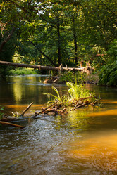 Similar image 2938955