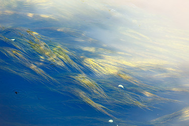 Similar image 2938958