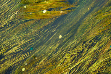 Similar image 2938959