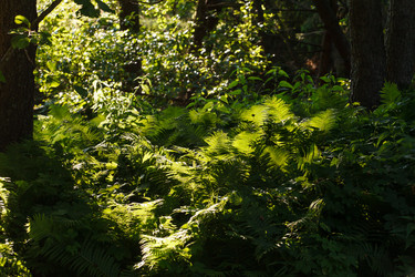 Similar image 2938963