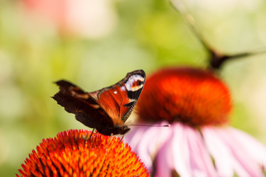 Similar image 2938993