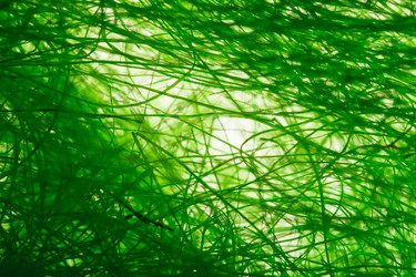 Similar image 2939012