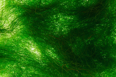 Similar image 2939013