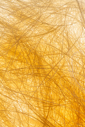 Similar image 2939014