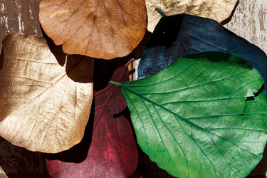 Similar image 2939019