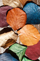 Similar image 2939020