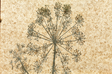 Similar image 2939021