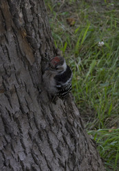 Similar image 2939359