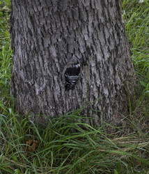 Similar image 2939361