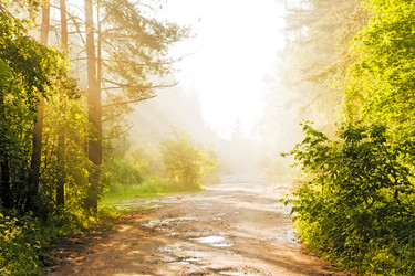 Similar image 2939400