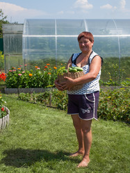 Similar image 2939466