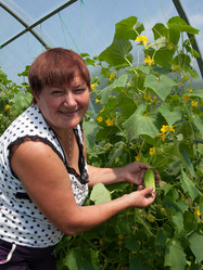 Similar image 2939469