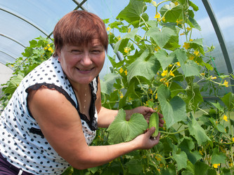 Similar image 2939470