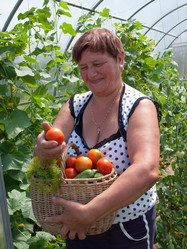 Similar image 2939472