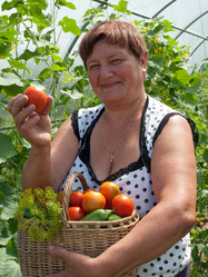 Similar image 2939473