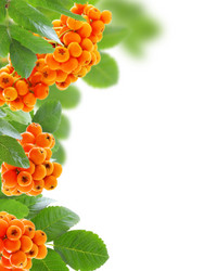 Similar image 2939525