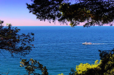 Similar image 2939543