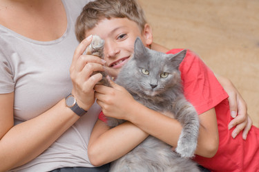 Similar image 2939625