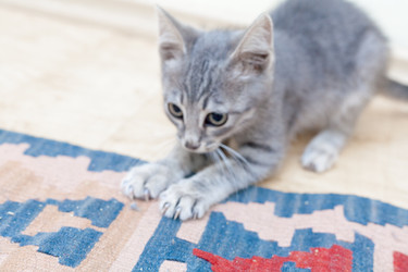 Similar image 2939650