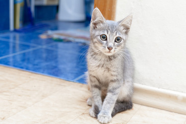 Similar image 2939652