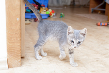 Similar image 2939664