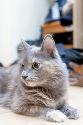 Similar image 2939669