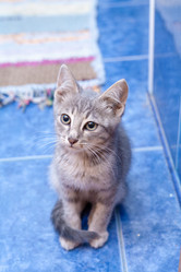 Similar image 2939676