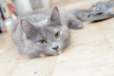 Similar image 2939677