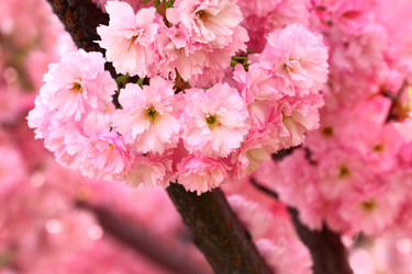 Similar image 2939684