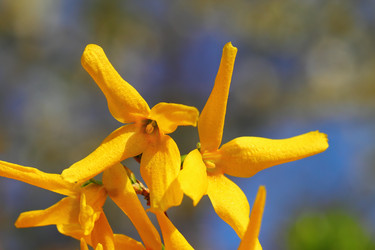 Similar image 2939685