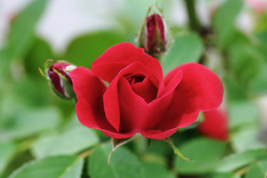 Similar image 2939688