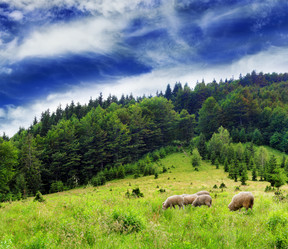 Similar image 2939691