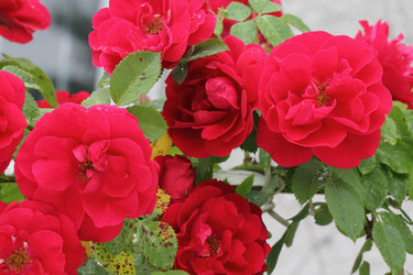 Similar image 2939694